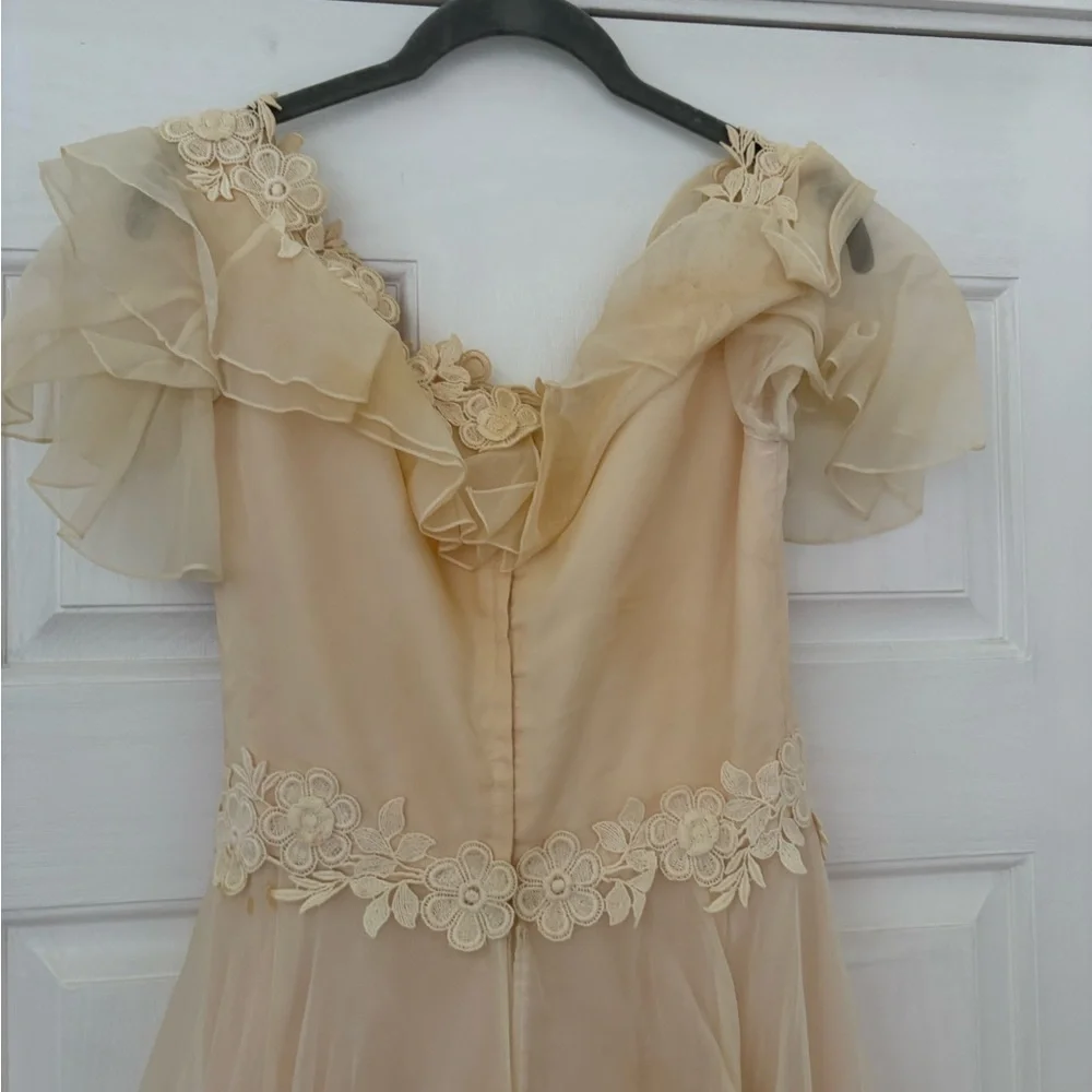Vintage 1970s Prairie Wedding Gown – Organza Ruffles, Daisy Floral Appliqué - Picture 9 of 15